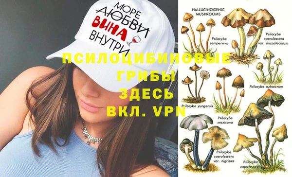 мдпв Горняк