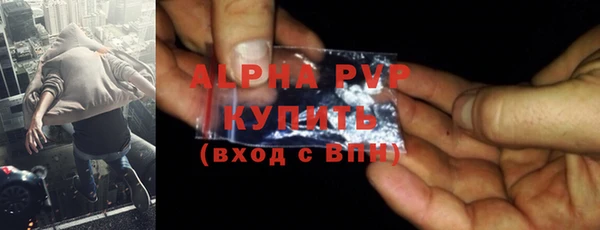 PSILOCYBIN Горнозаводск