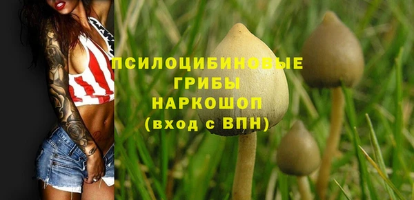 ECSTASY Гусев