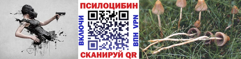 Галлюциногенные грибы MAGIC MUSHROOMS дарнет шоп Назрань